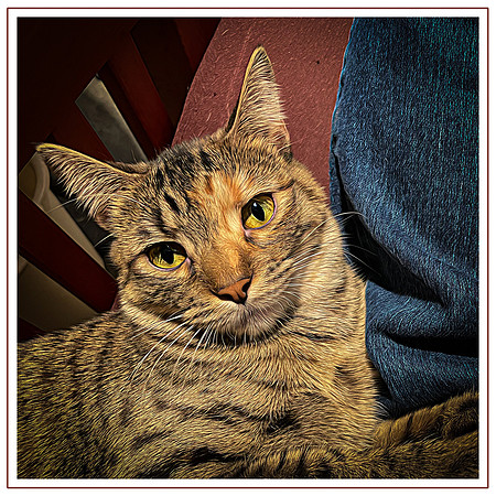 139_DB-IMG_1857-Edit-Edit