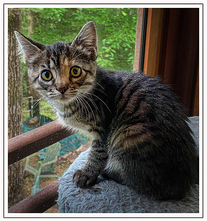 028_DB-IMG_2150-Edit-Edit