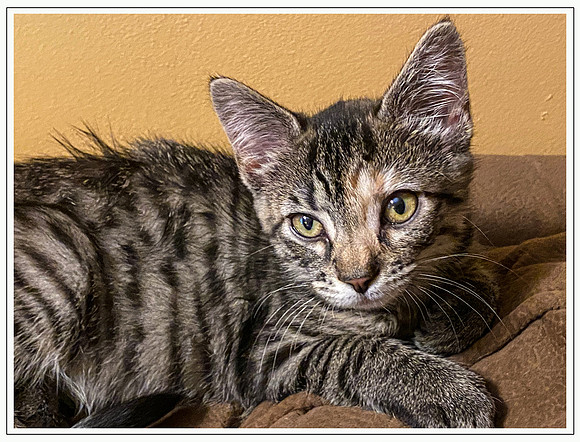 041_DB-IMG_2271-Edit