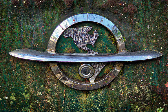 P3100278_Aurora2017_HDR-Edit