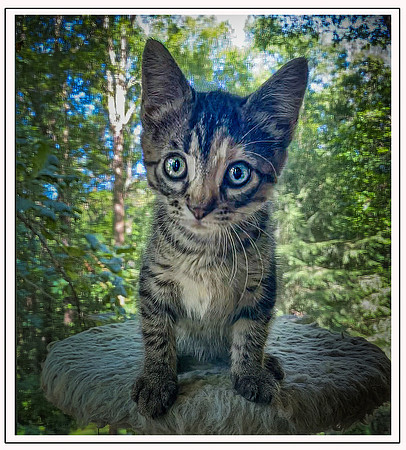 027_DB-IMG_2142-Edit-Edit