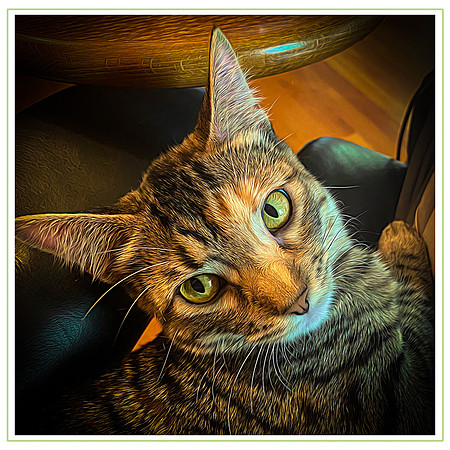105_DB-IMG_0131-Edit-Edit
