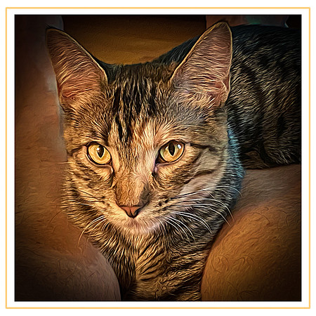 097_DB-IMG_3063-Edit-Edit