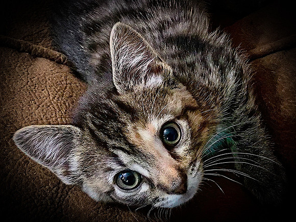 013_DB-IMG_2006-Edit