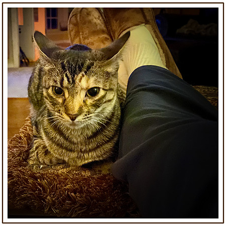 102_DB-IMG_0063-Edit-Edit