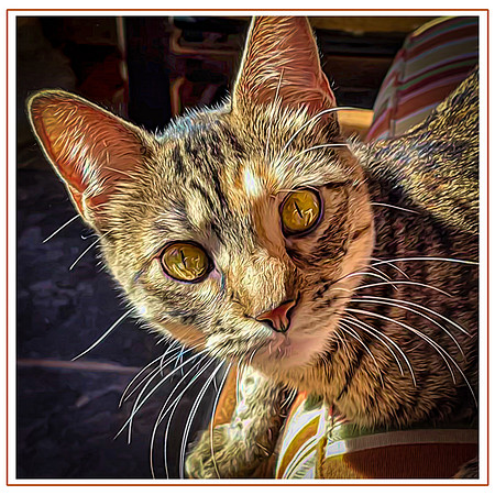 111_DB-IMG_0402-Edit-Edit-Edit