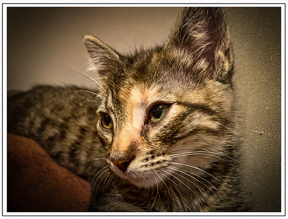 023_DB-IMG_2118-Edit-Edit