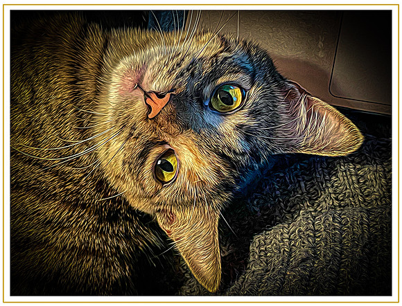 118_DB-IMG_1171-Edit-Edit-Edit
