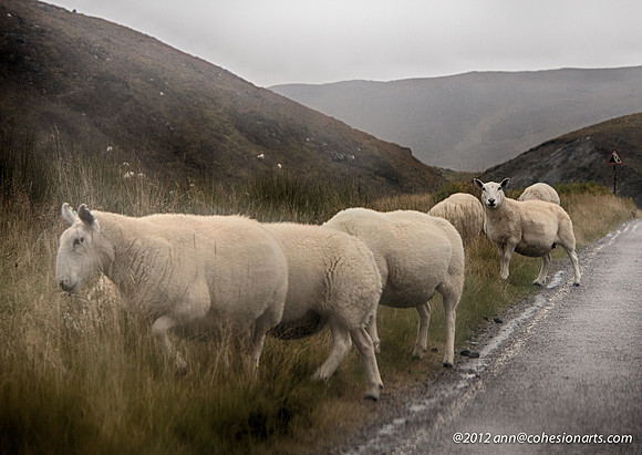 Wester Ross