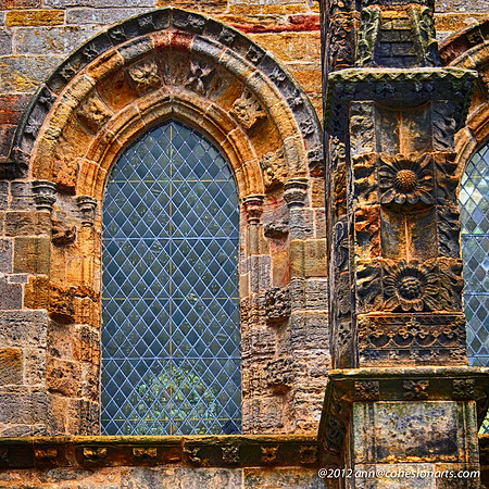 PA130138_HDR-Edit