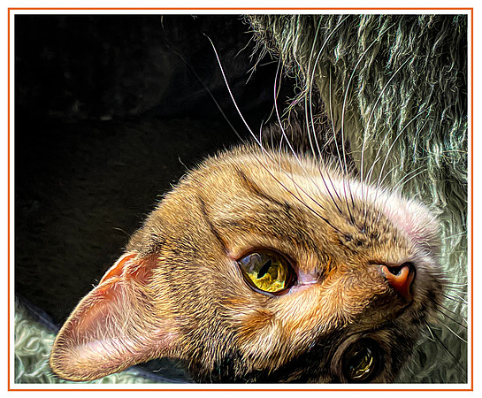 143_DB-IMG_1957-Edit-Edit