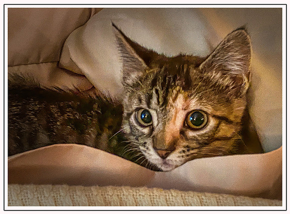 033_DB-IMG_2188-Edit-Edit