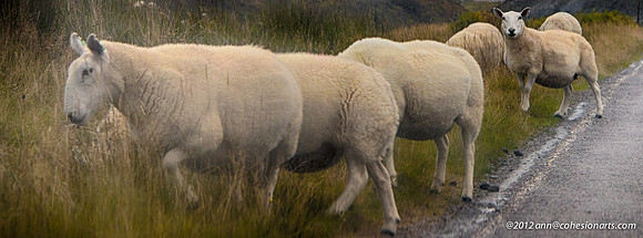PA060667_HDR-Edit