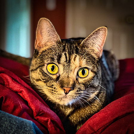 156_DB-IMG_0972-Edit-Edit