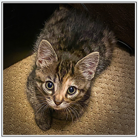 008_DB-IMG_1929-Edit