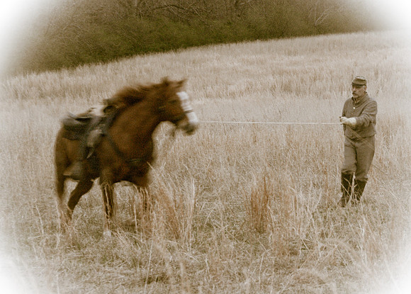 Cavalry Maneuvers - Franklin, TN - March 18, 2011