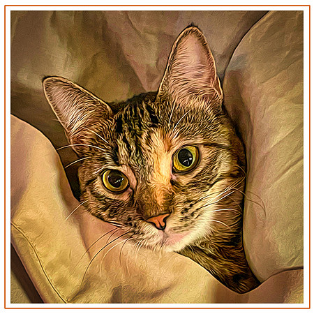 112_DB-IMG_0437-Edit-Edit-Edit