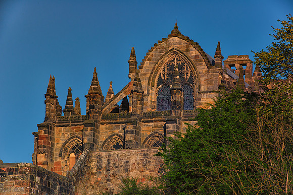 DSC_8555-Edit