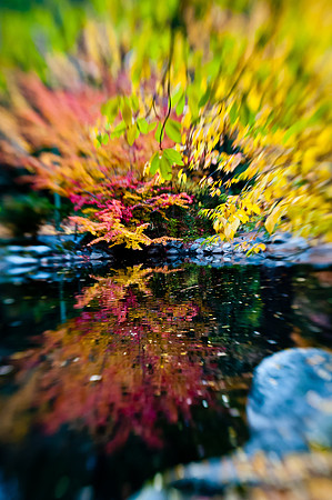Ashland OR Nov 2011