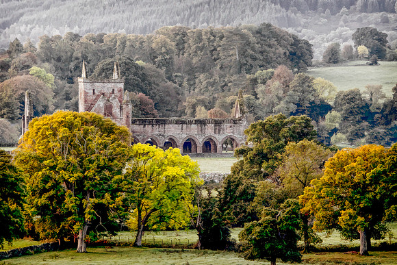 Sweetheart Abbey
