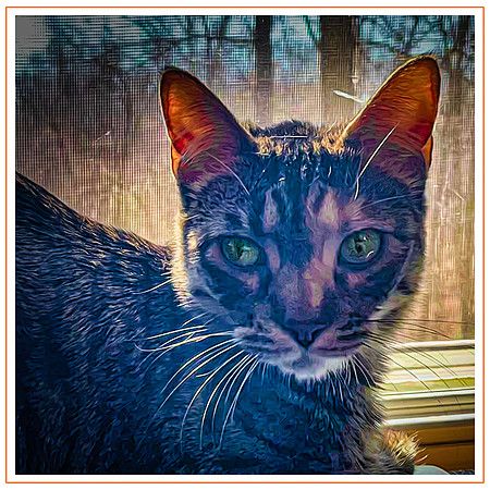 136_DB-IMG_1683-Edit-Edit-Edit