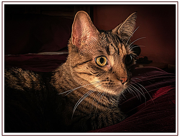 152_DB-IMG_2560-Edit-Edit-Edit