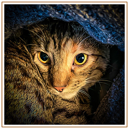121_DB-IMG_1225-Edit-Edit-Edit-Edit