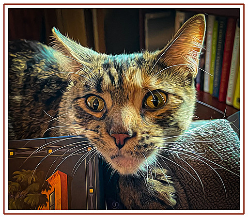 125_DB-IMG_1338-Edit-Edit
