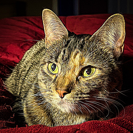 155_DB-IMG_0943-Edit-Edit
