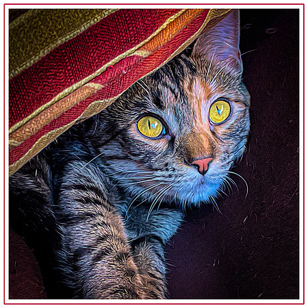 131_DB-IMG_1515-Edit-Edit-2