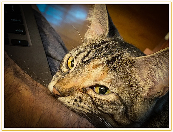 083_DB-IMG_2776-Edit-Edit