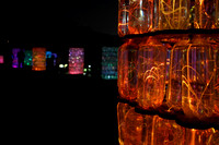 Cheekwood Lights