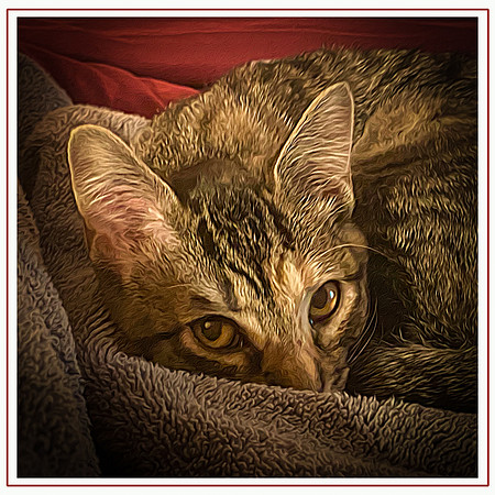 060_DB-IMG_2478-Edit-Edit