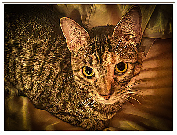 110_DB-IMG_0015-Edit-Edit-Edit