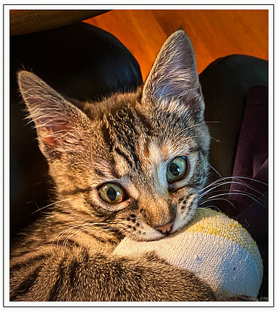 045_DB-IMG_2324-Edit-Edit