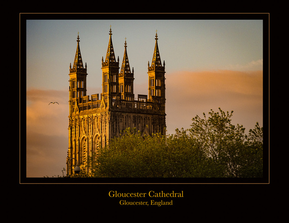 Cal18-Gloucester