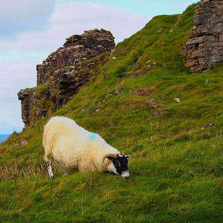 Isle of Skye, Scottish Highlands