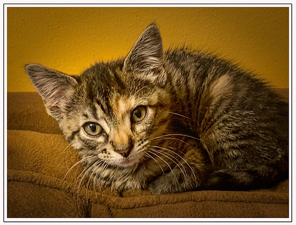 025_DB-IMG_2133-Edit-Edit-Edit