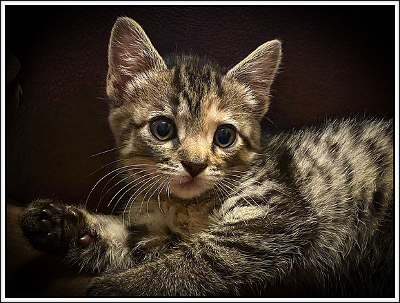 009_DB-IMG_1921-Edit