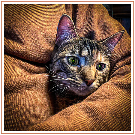 132_DB-IMG_1525-Edit-Edit