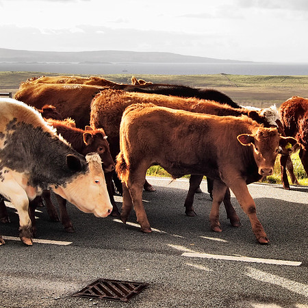 Isle of Skye, Scottish Highlands