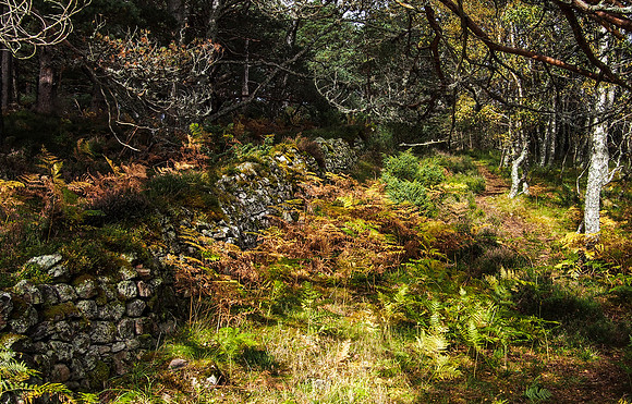 Loch An Eilein, Aviemore