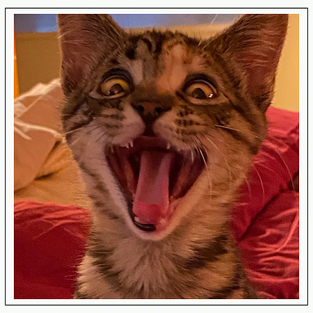 047_DB-IMG_2342-Edit