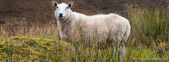 PA060672-Edit-Edit