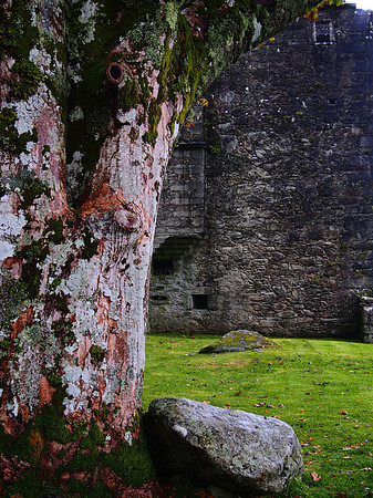 Carnasserie Castle