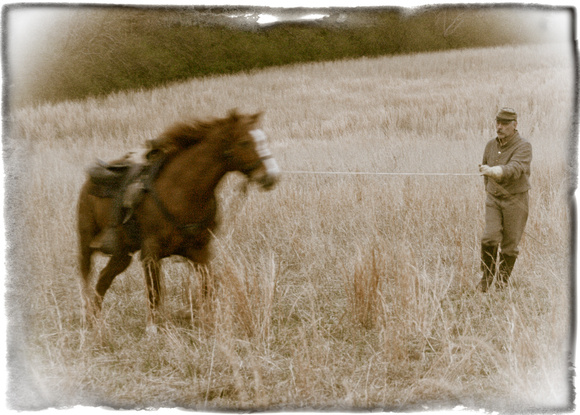 Lunging
