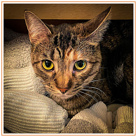 150_DB-IMG_2320-Edit-Edit