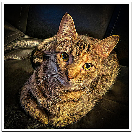 115_DB-IMG_0574-Edit-Edit-Edit