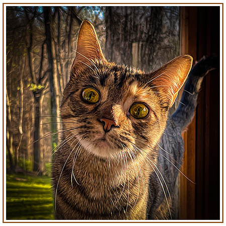 148_DB-IMG_2280-Edit-Edit