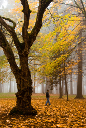 Columbia Park - NW Portland